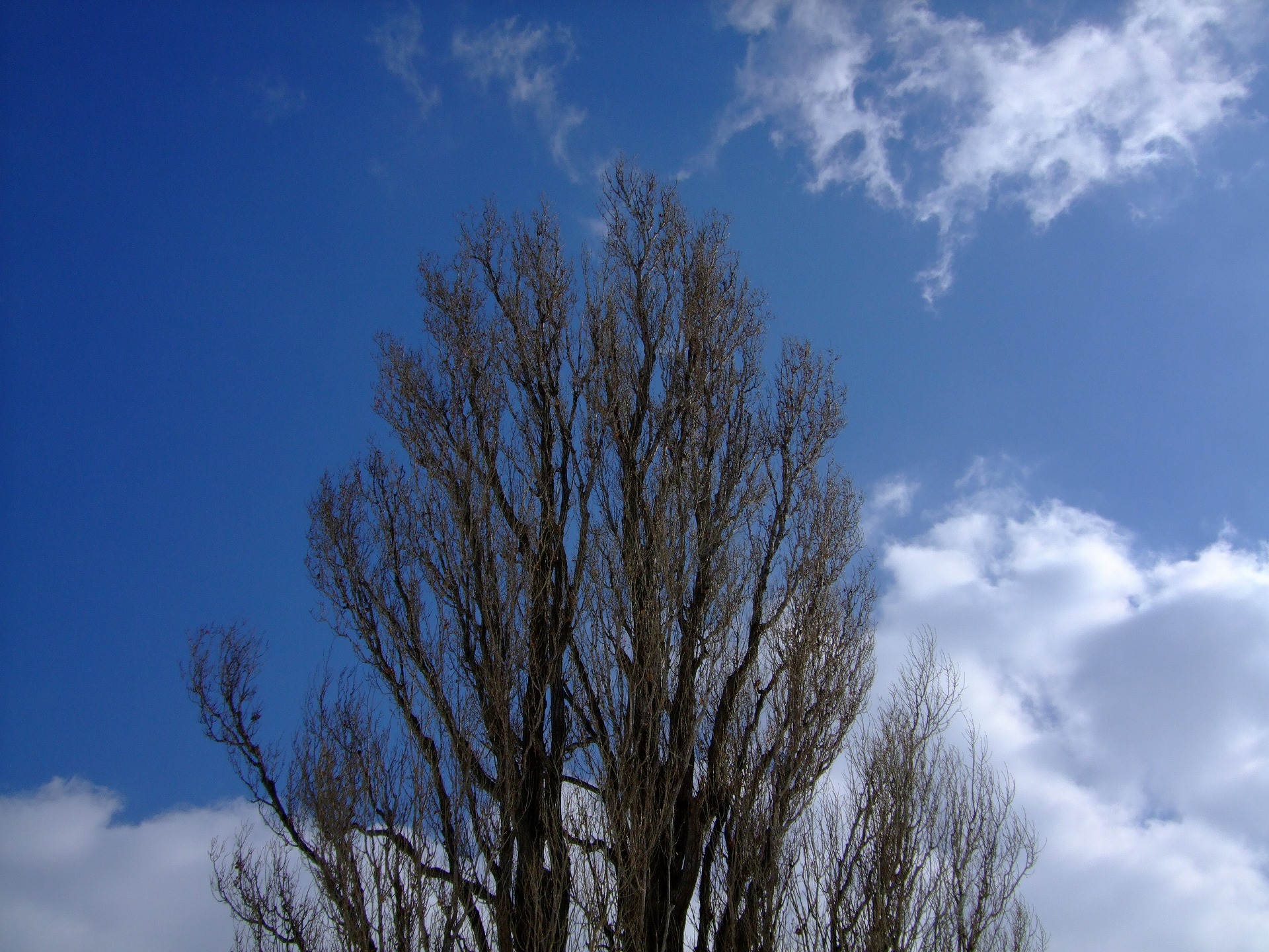 DSCF0680.jpg