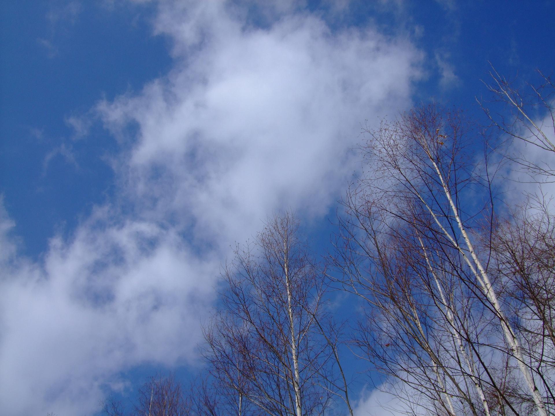 DSCF0692.jpg