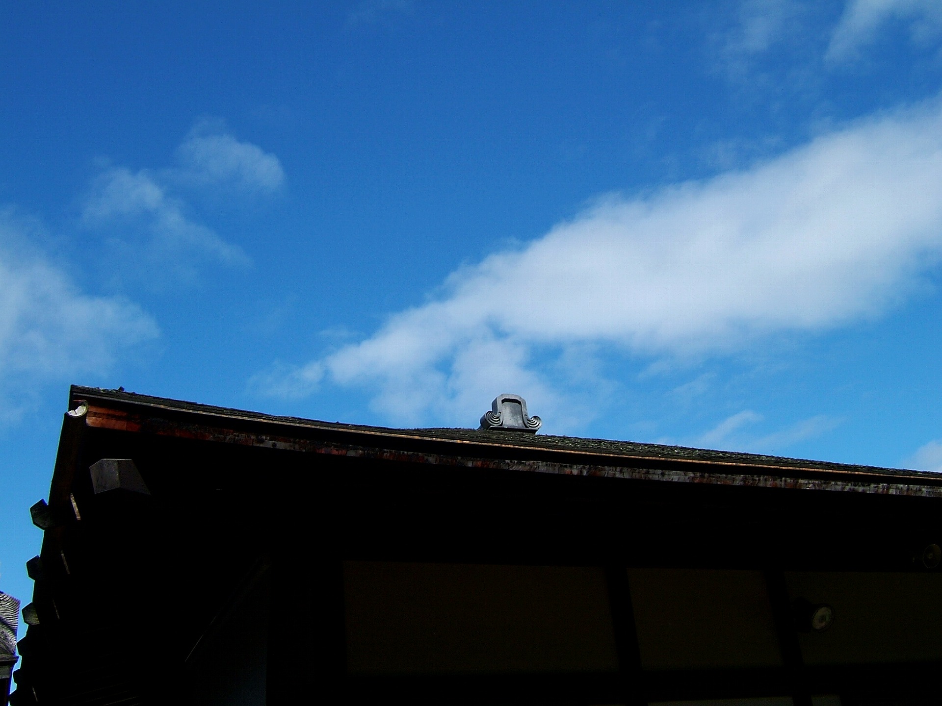 DSCF0865.jpg