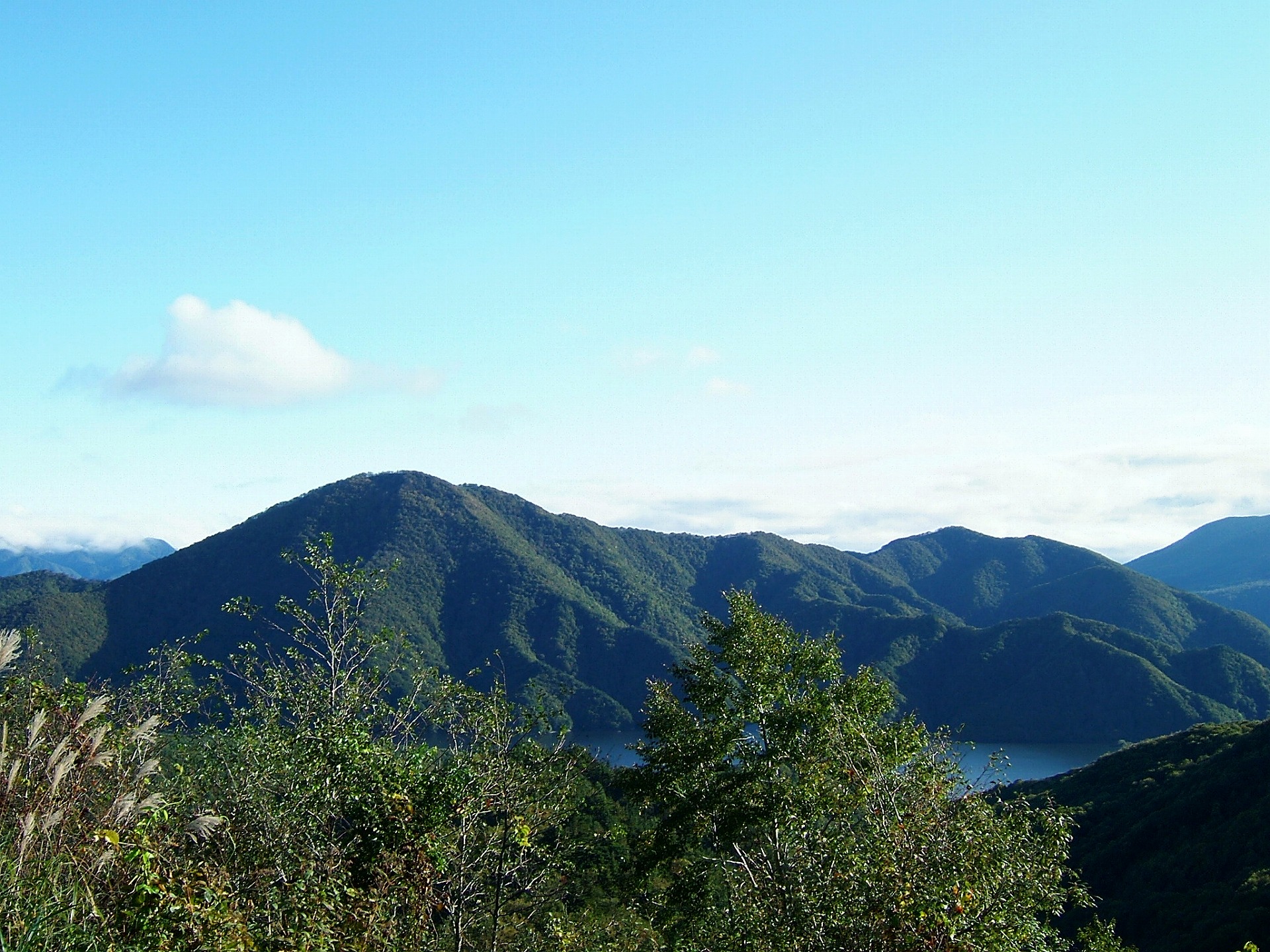 DSCF0890.jpg