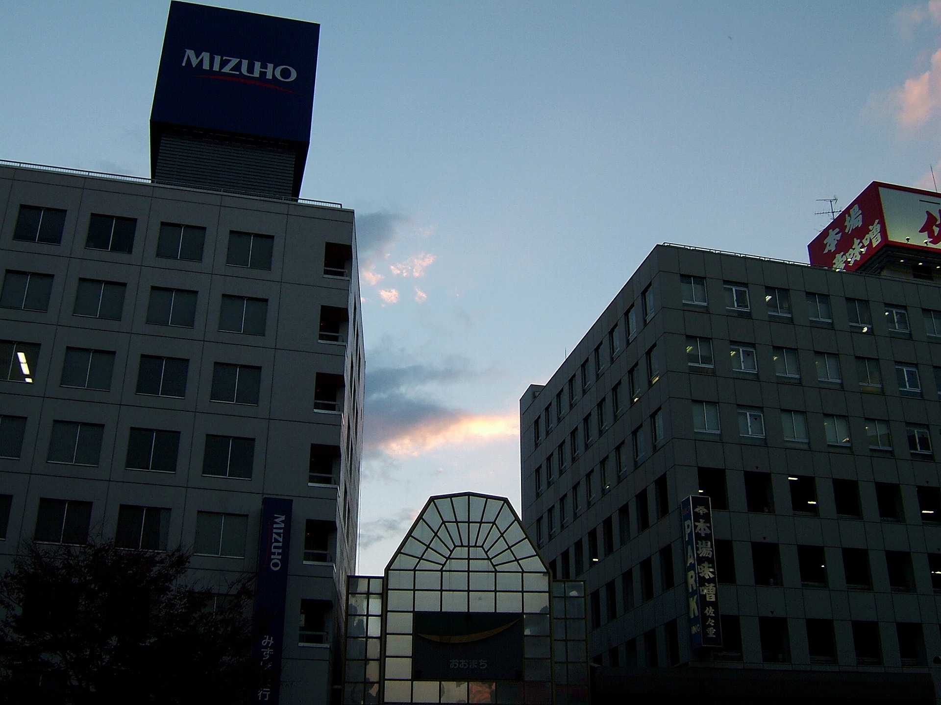 DSCF0995.jpg