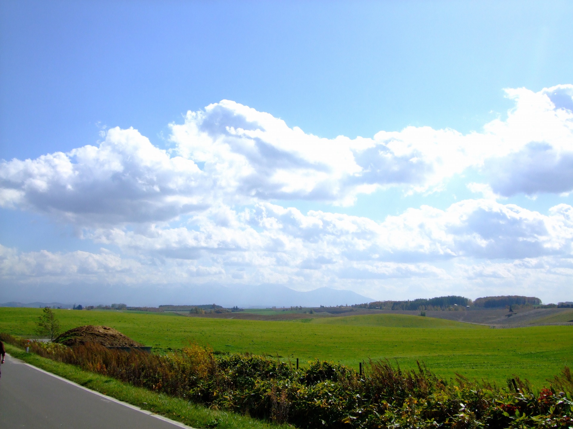 DSCF1222.jpg