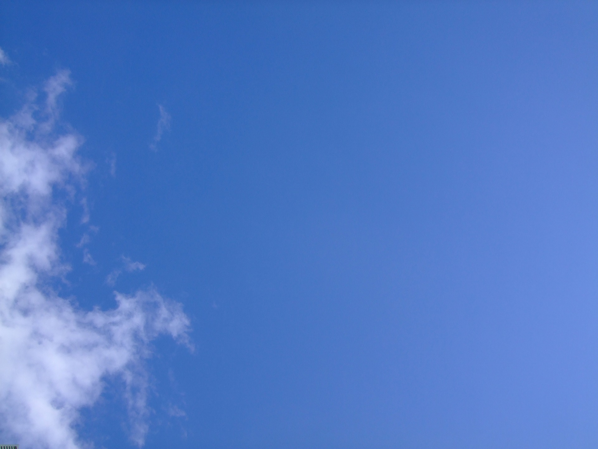 DSCF1241.jpg