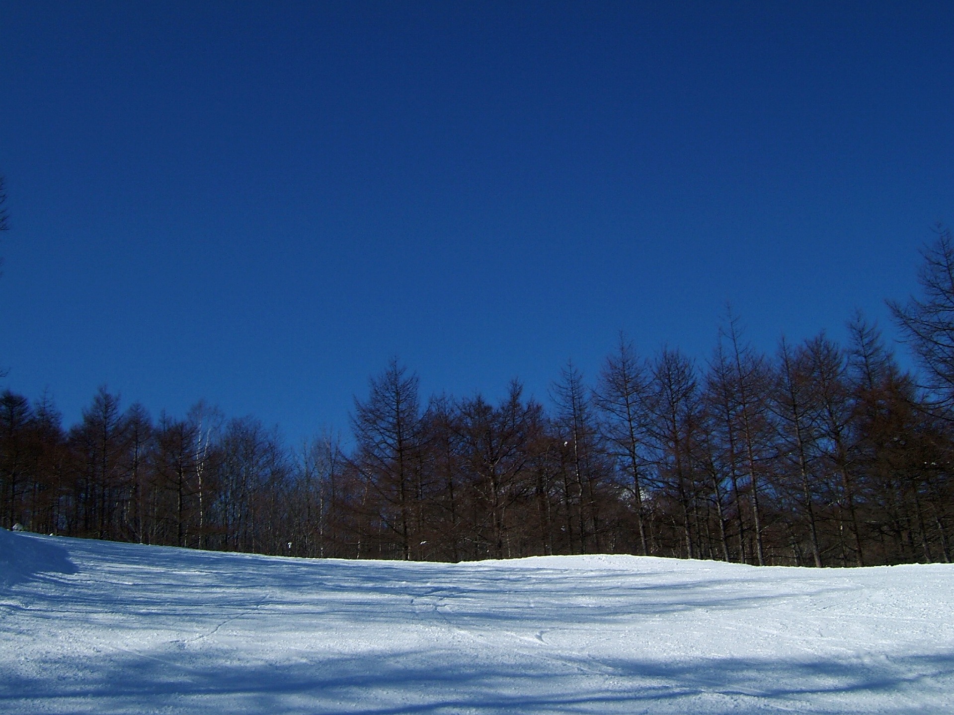 DSCF1258.jpg