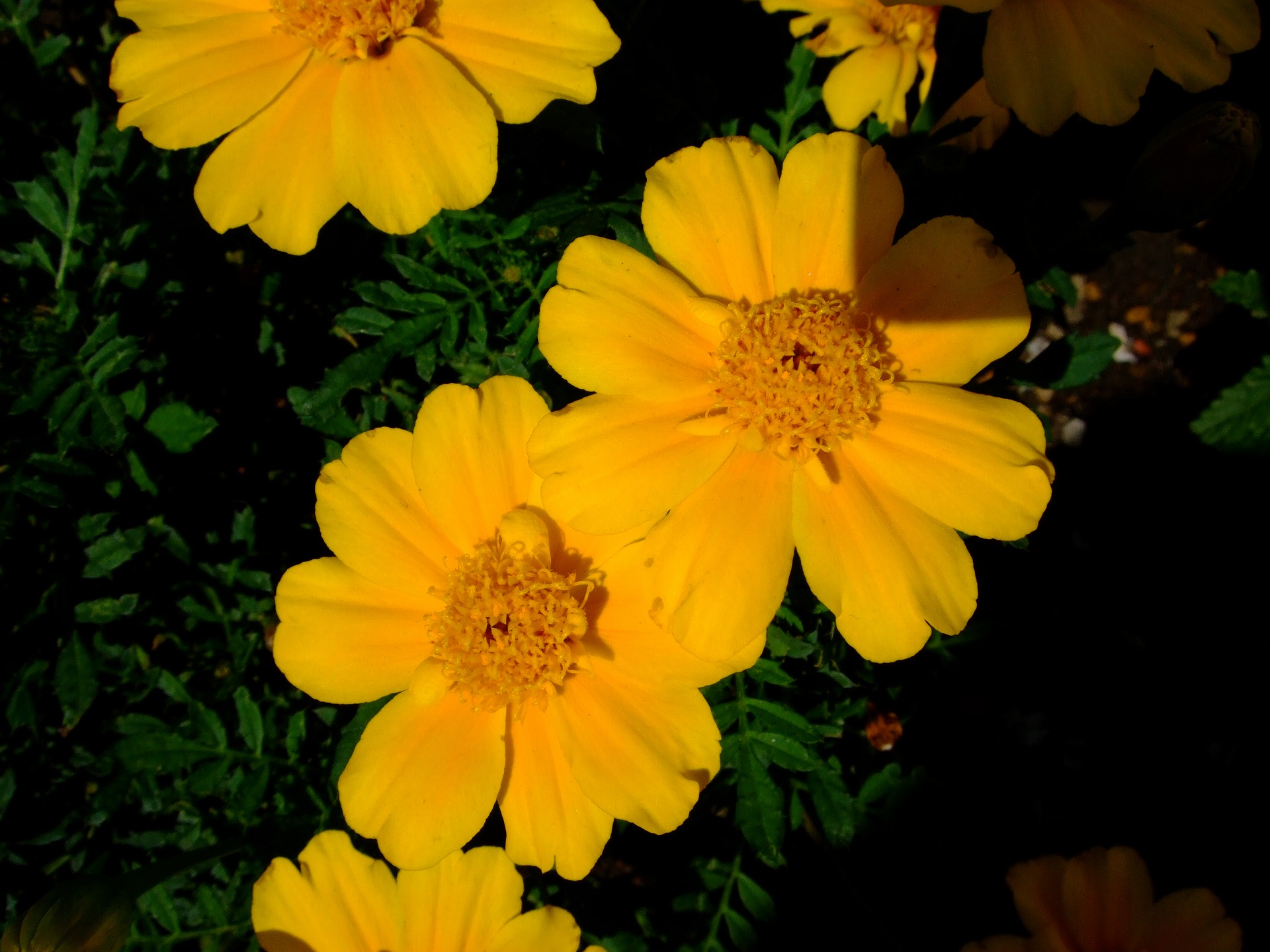 DSCF0122.jpg