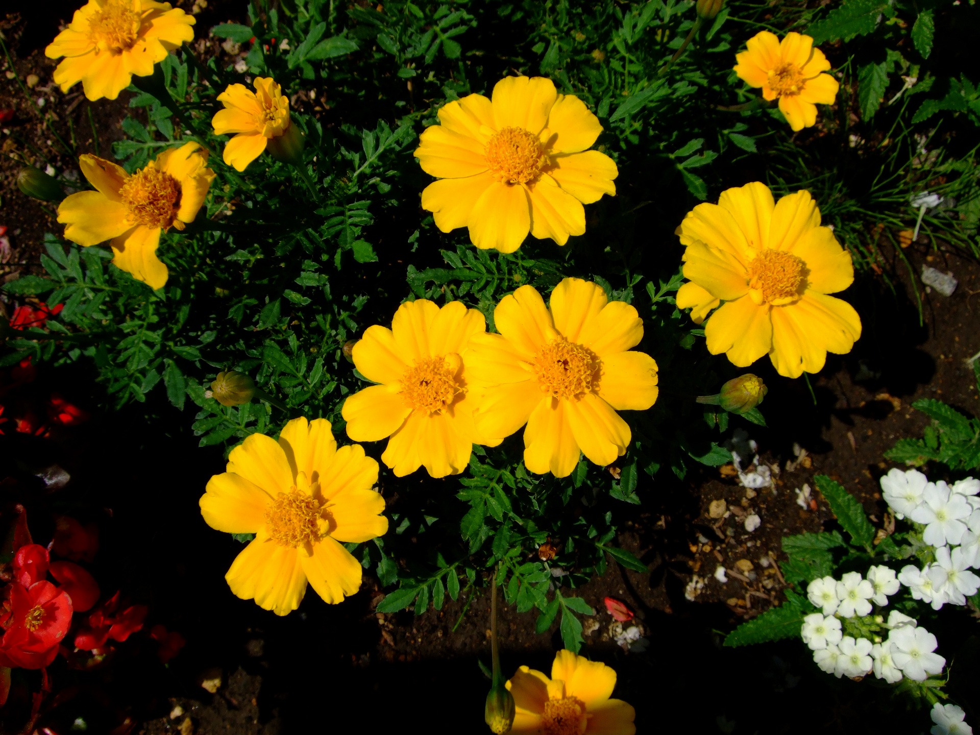 DSCF0123.jpg