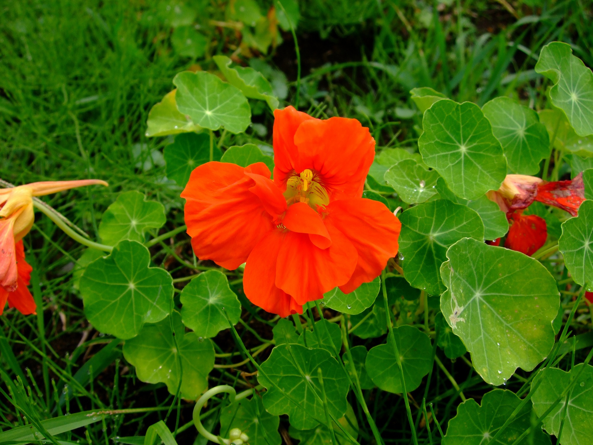 DSCF0138.jpg