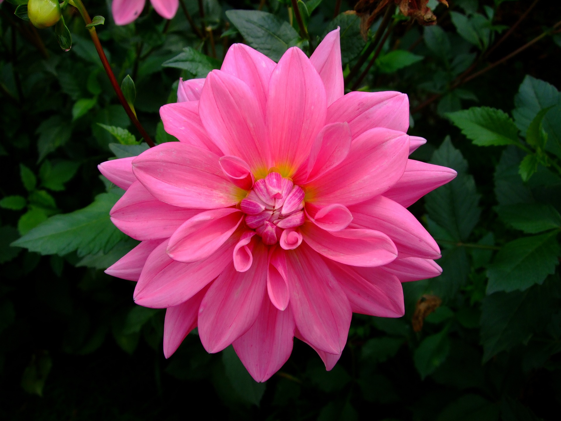 DSCF0141.jpg
