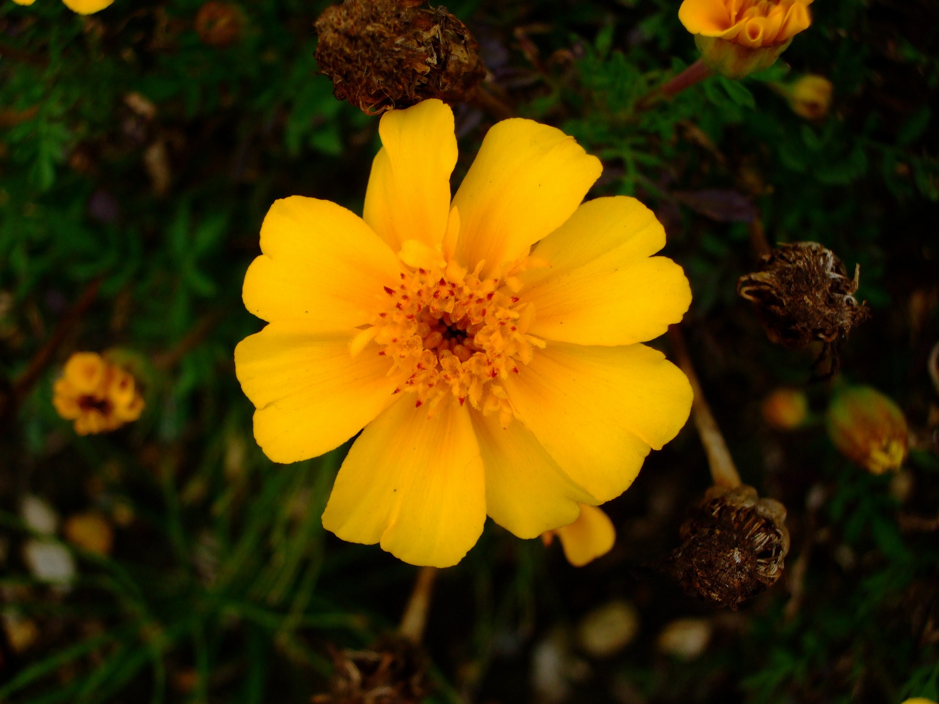 DSCF0165.jpg