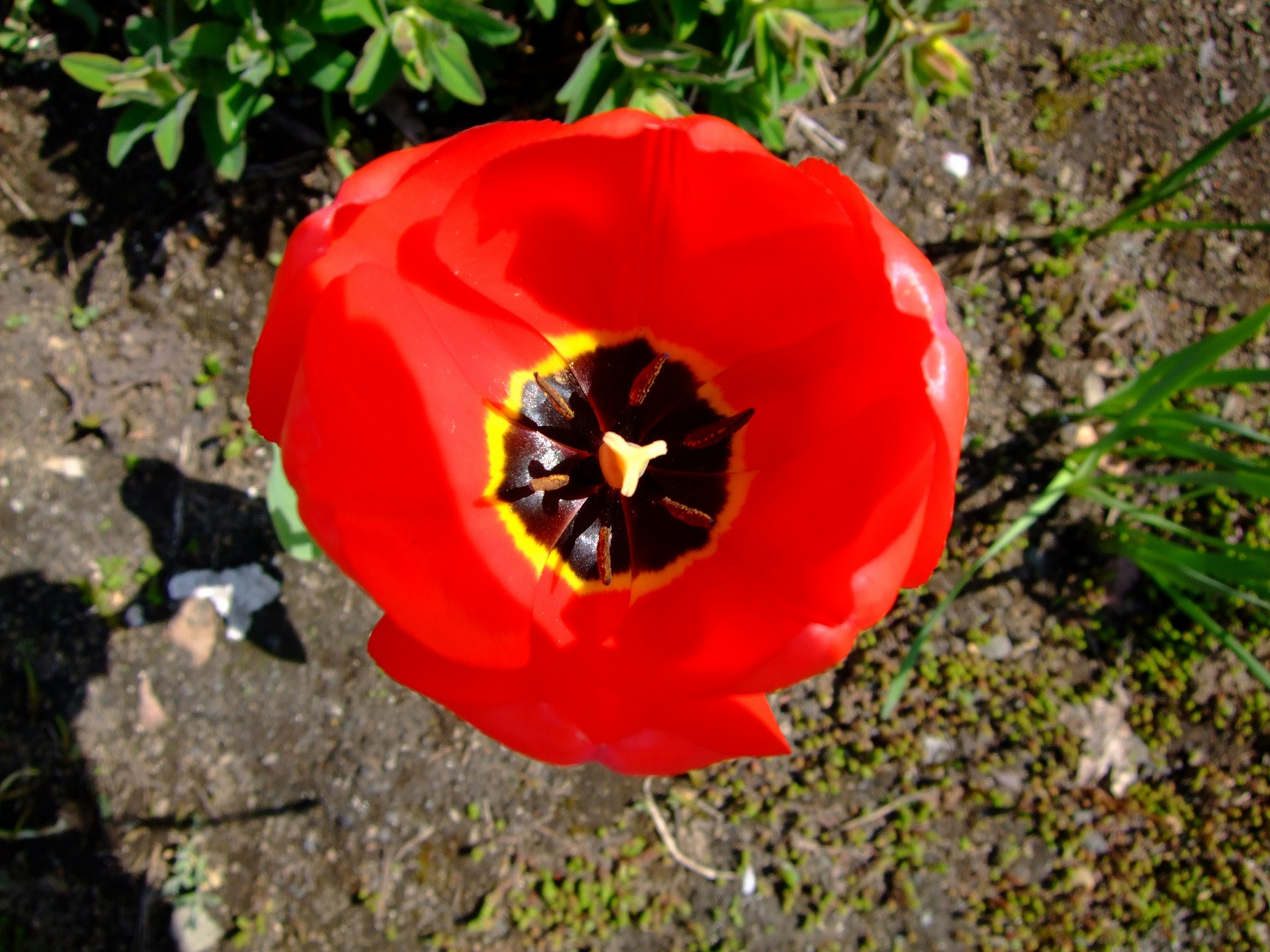 DSCF0911.jpg