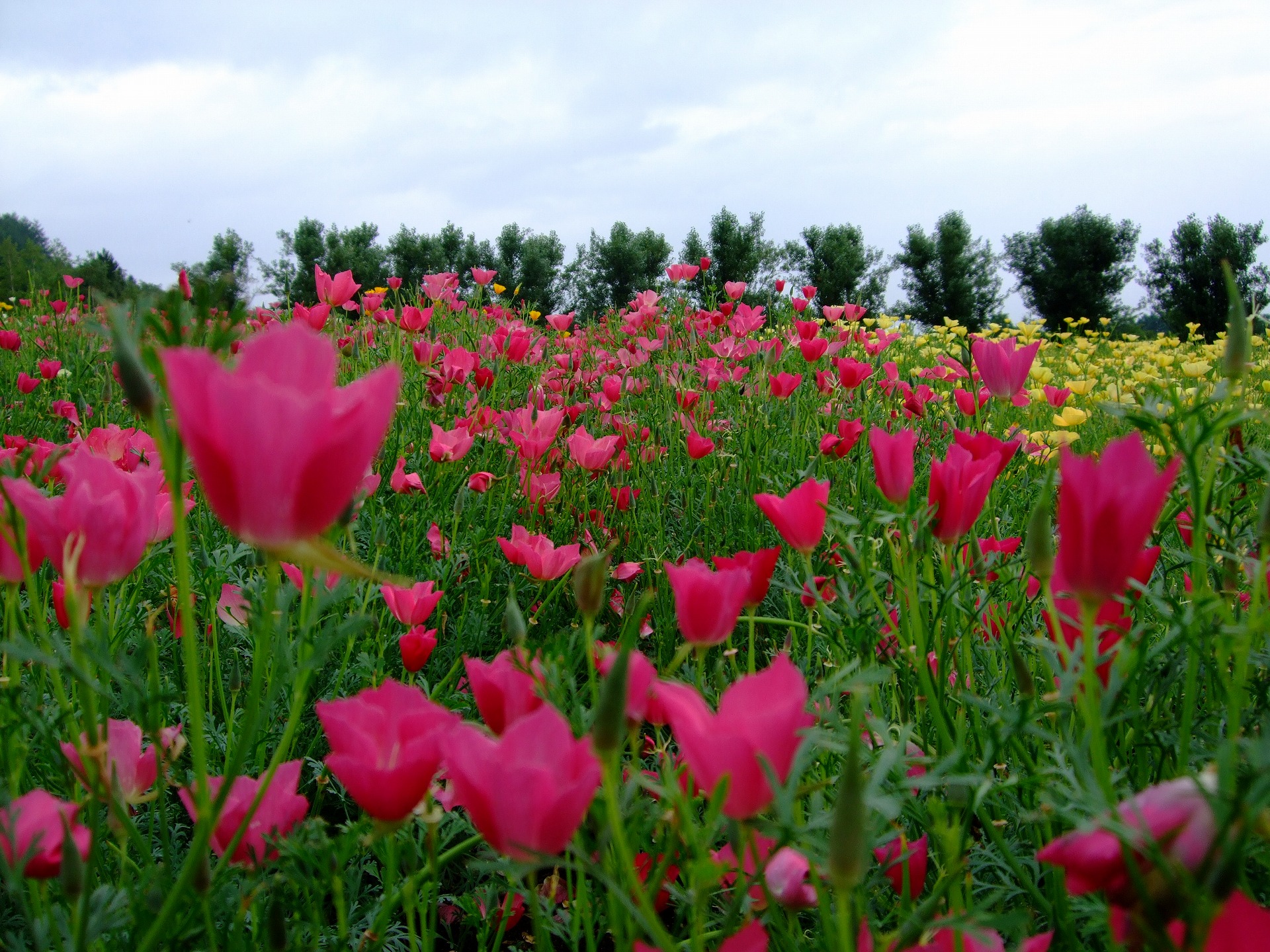 DSCF0980.jpg
