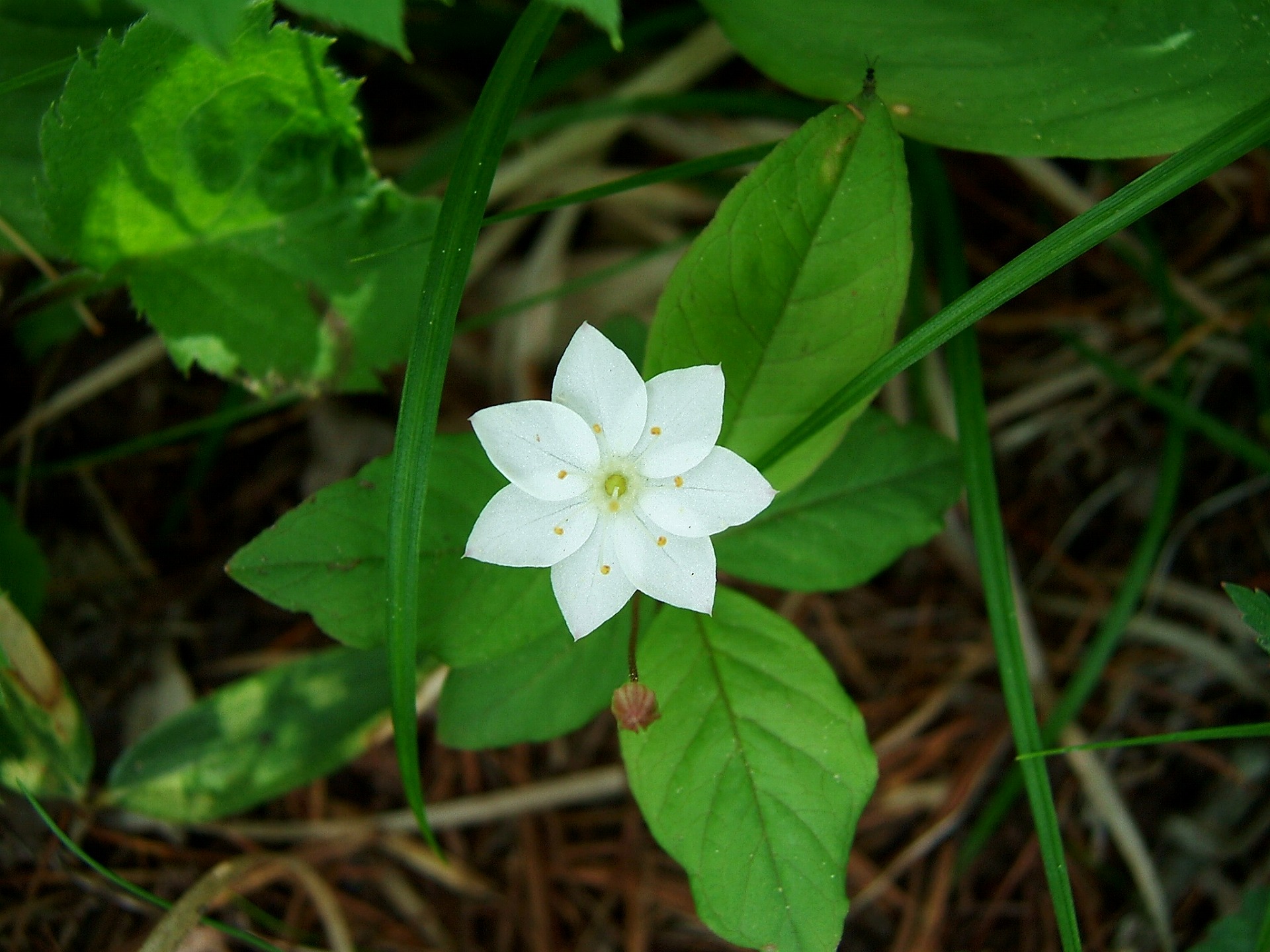 DSCF2532.jpg