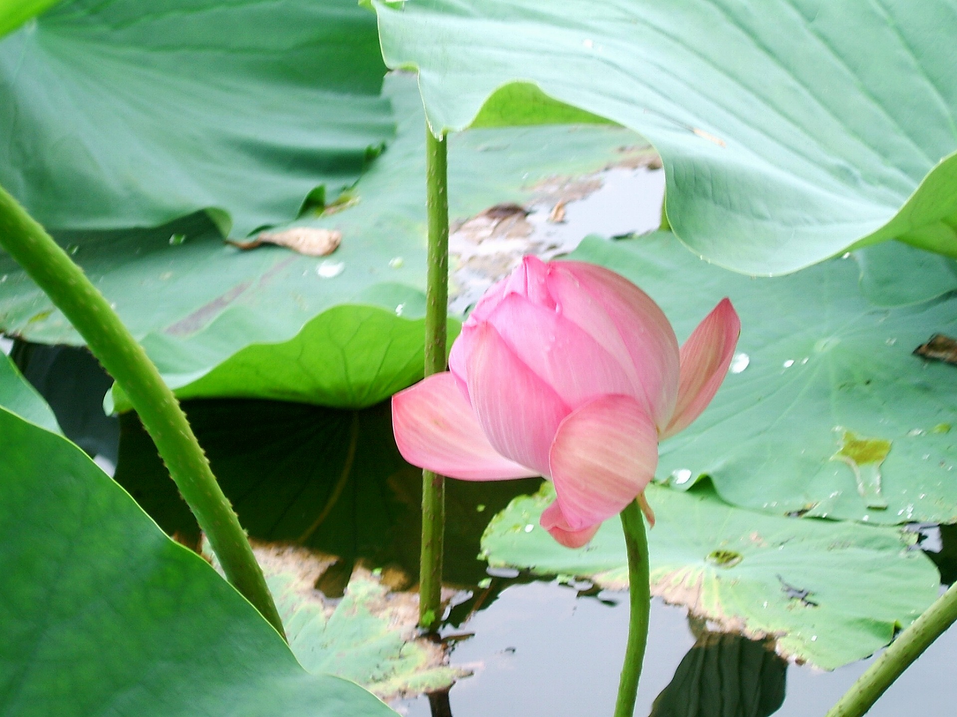 DSCF3519.jpg