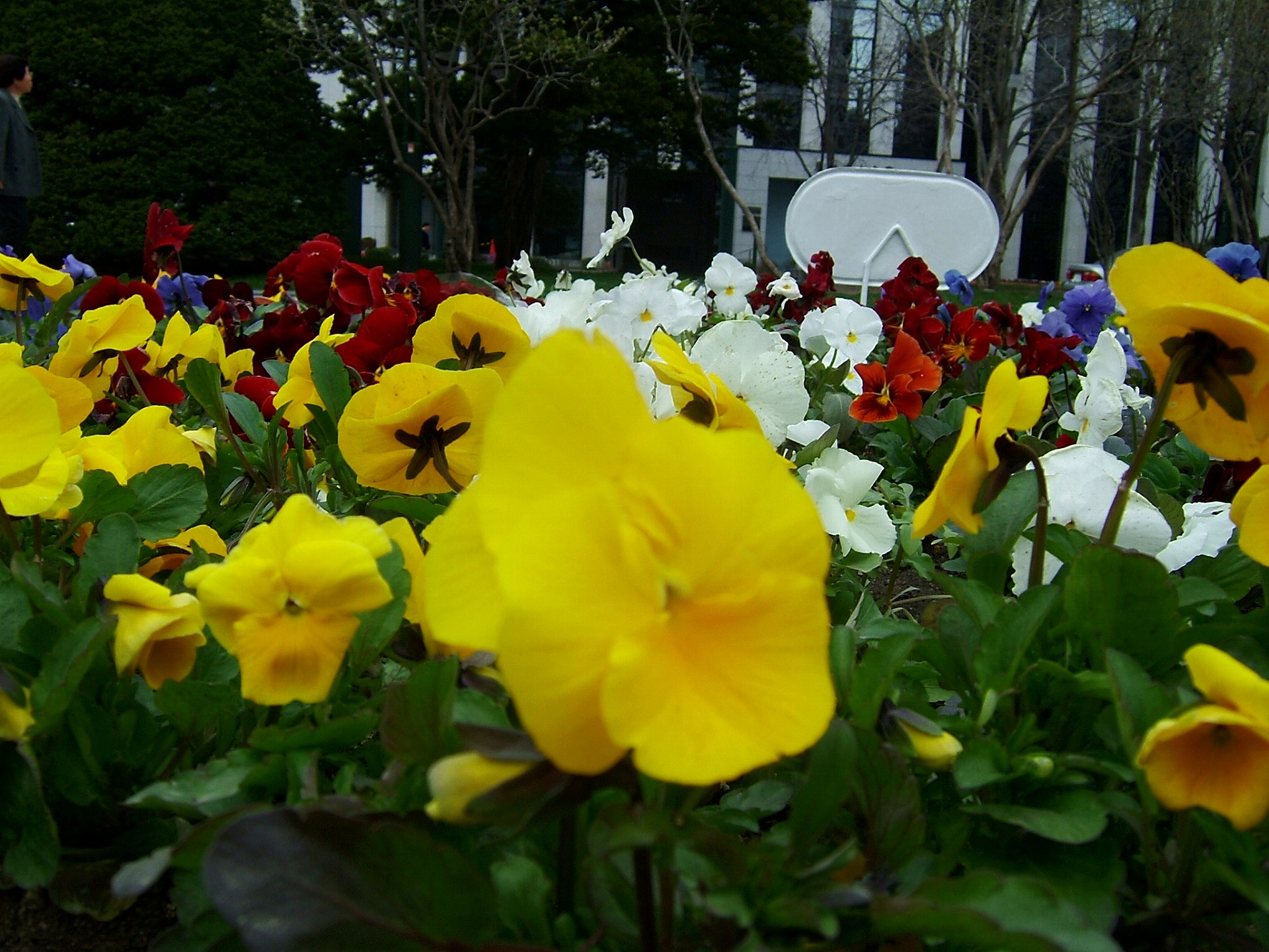 DSCF5274.jpg