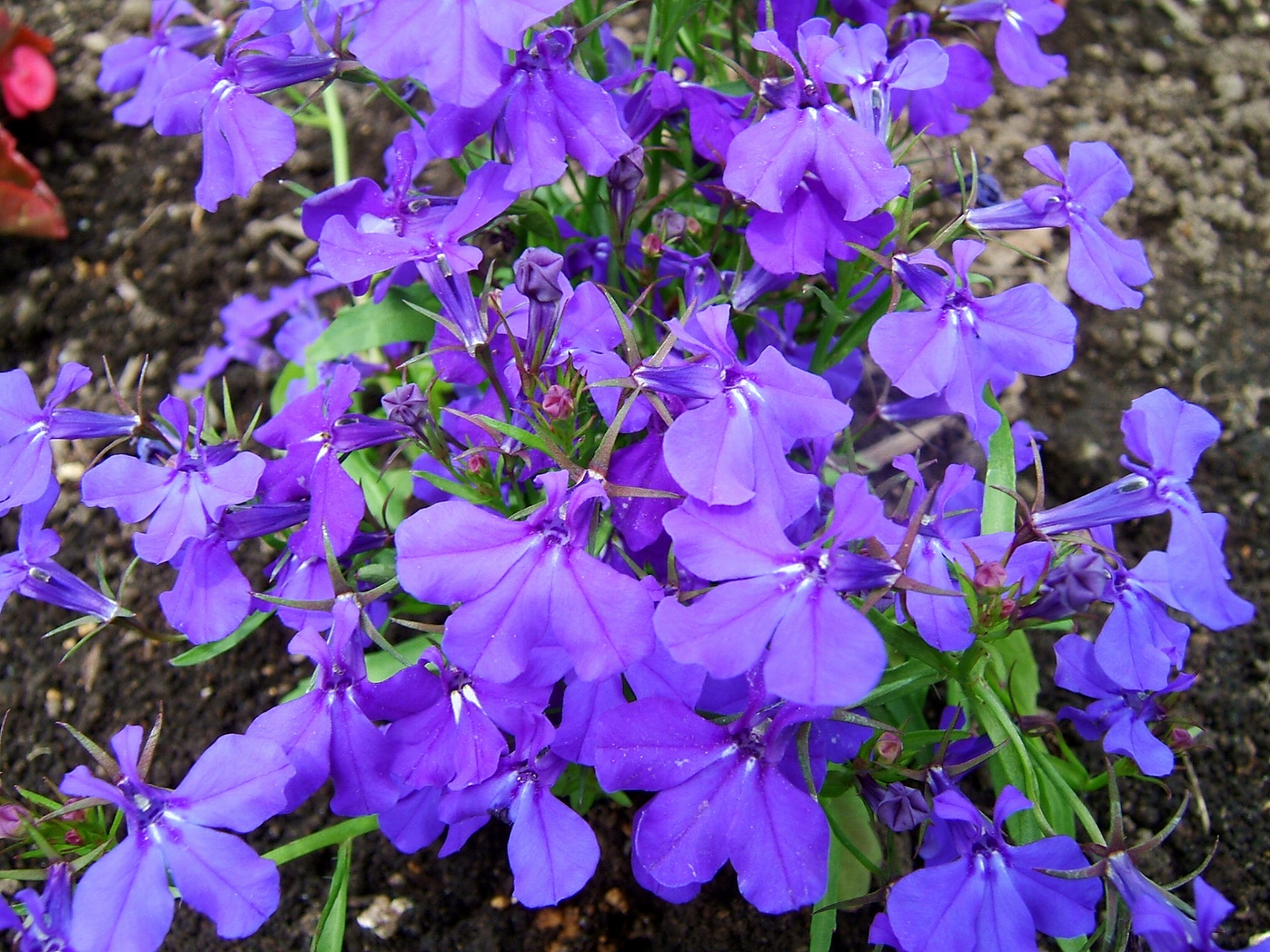 DSCF5863.jpg