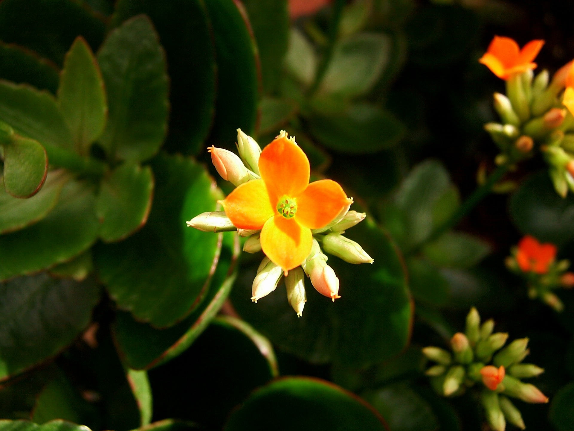DSCF6614.jpg