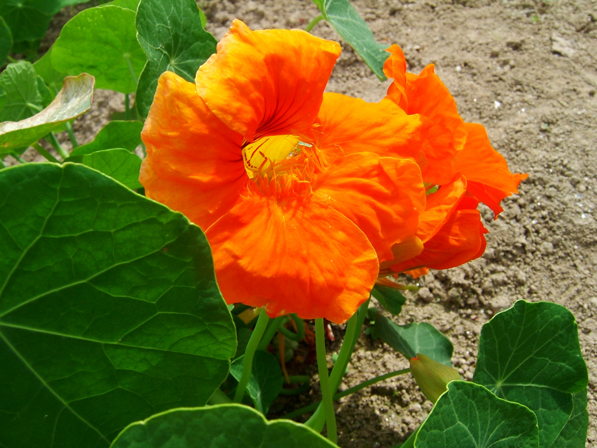 DSCF5911.JPG