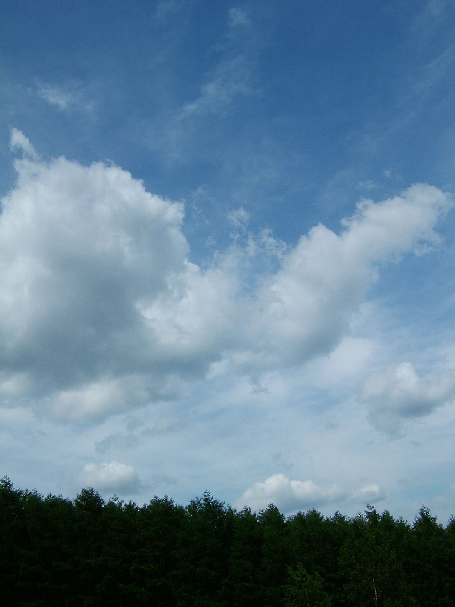 DSCF5948.JPG