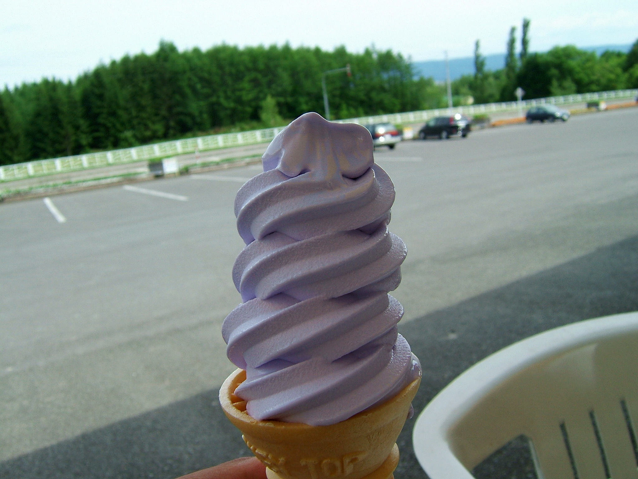 DSCF5959.JPG