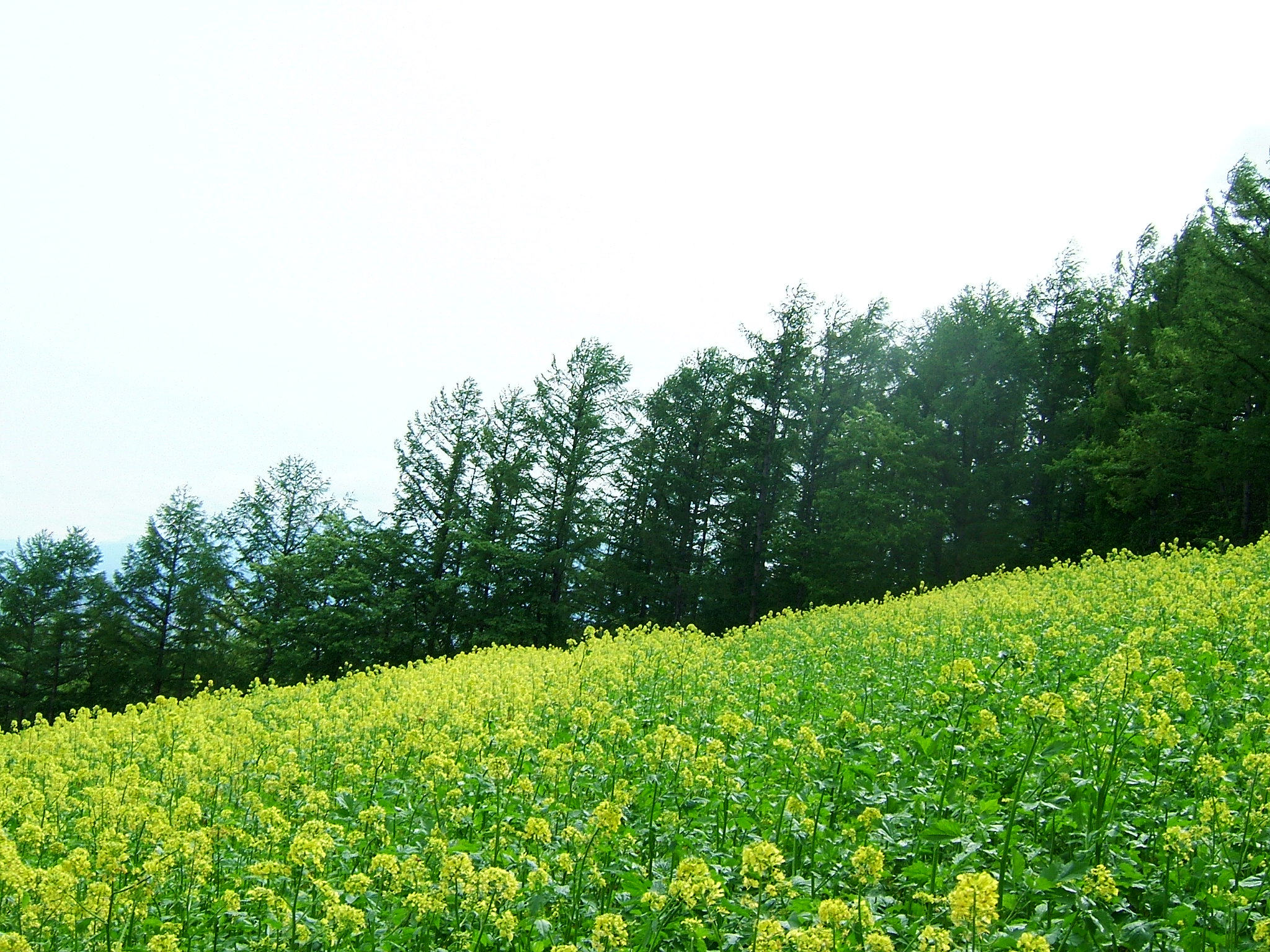 DSCF5961.JPG