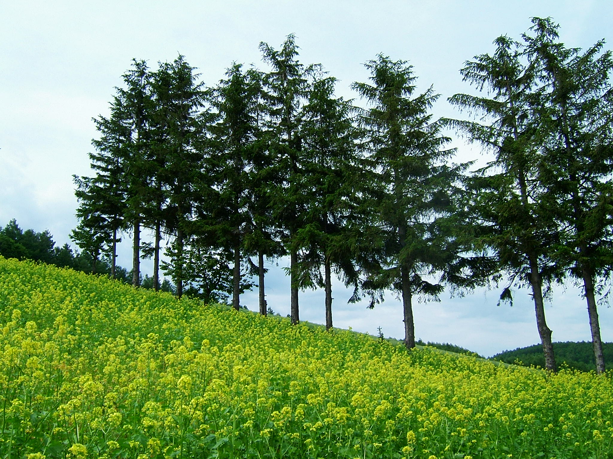 DSCF5988.JPG