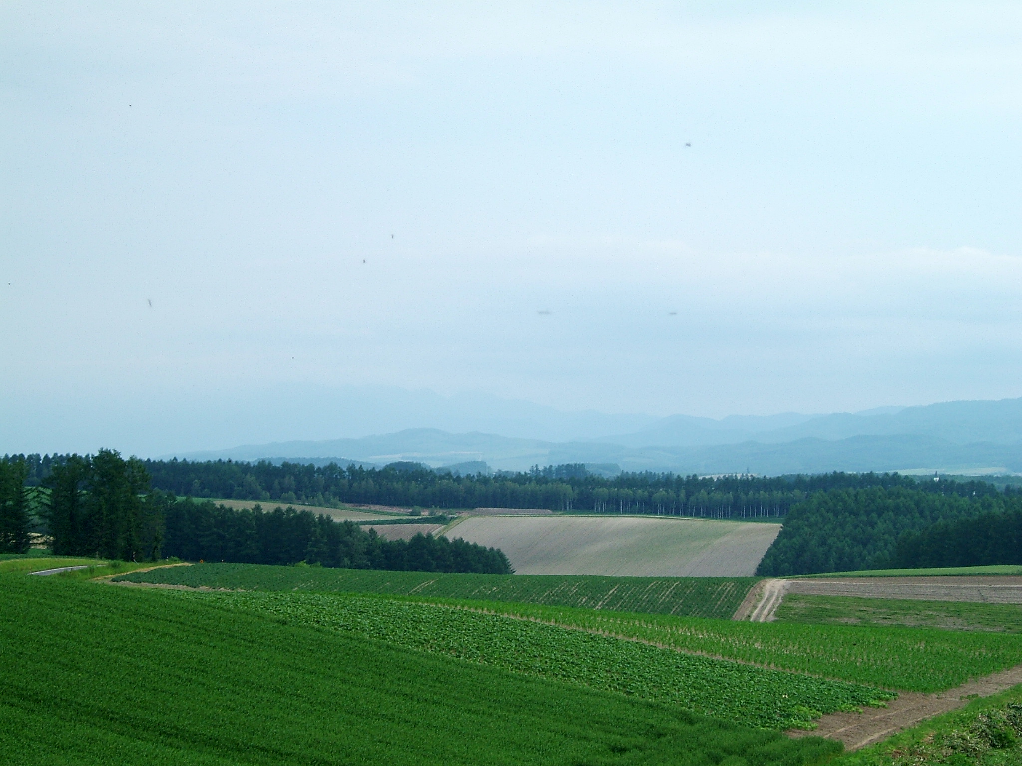 DSCF6030.JPG