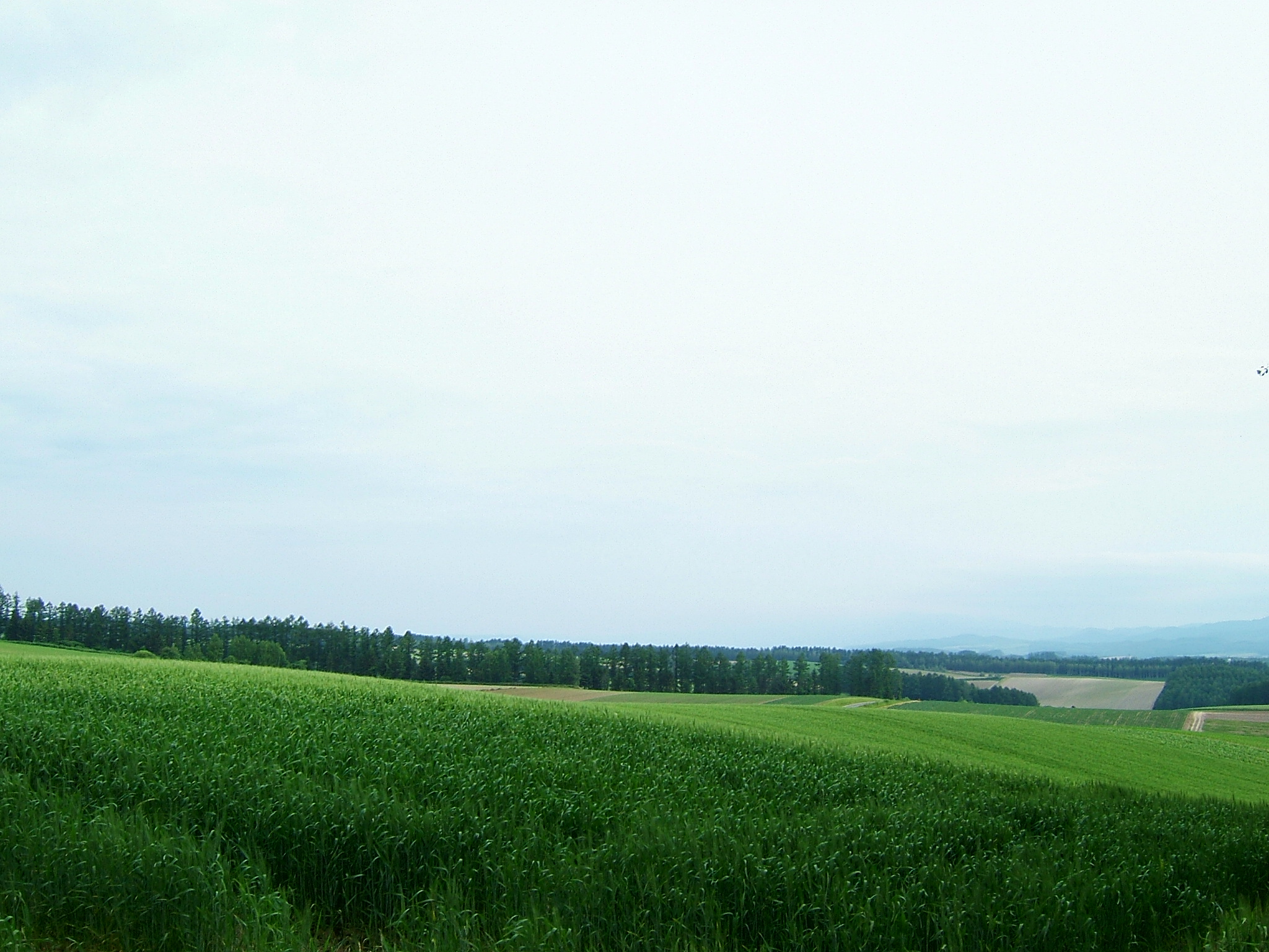 DSCF6046.JPG