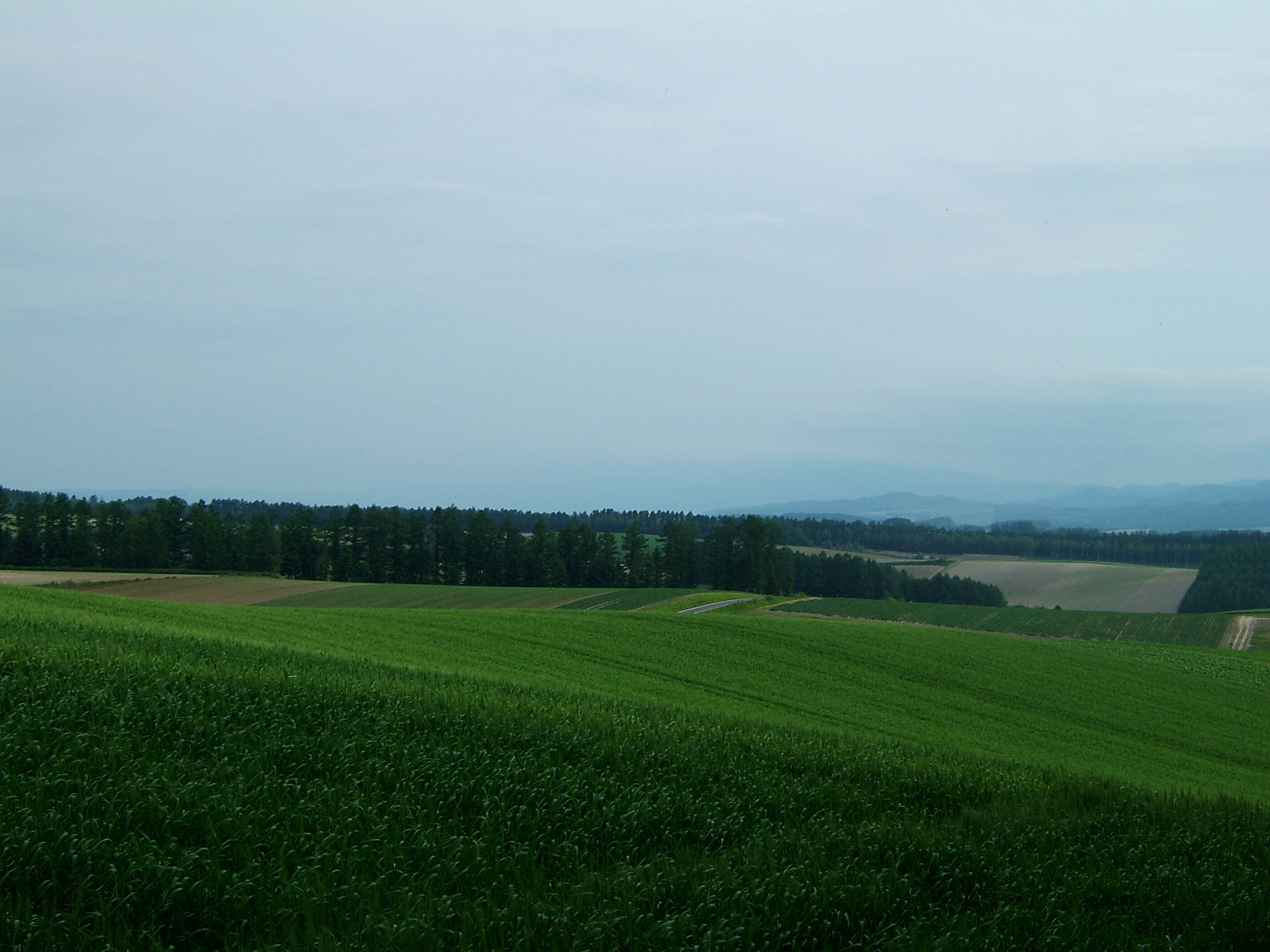 DSCF6052.JPG