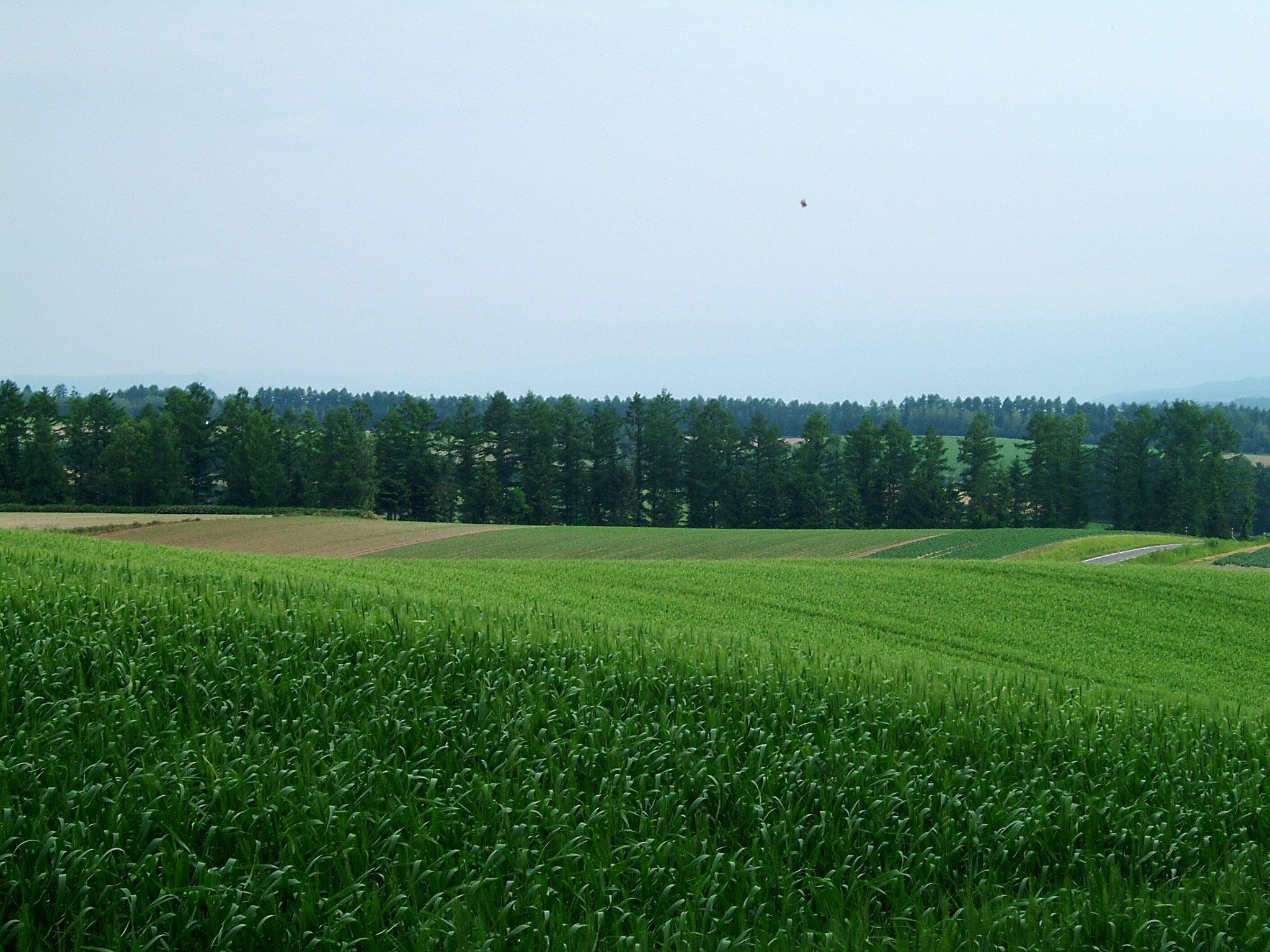 DSCF6063.JPG