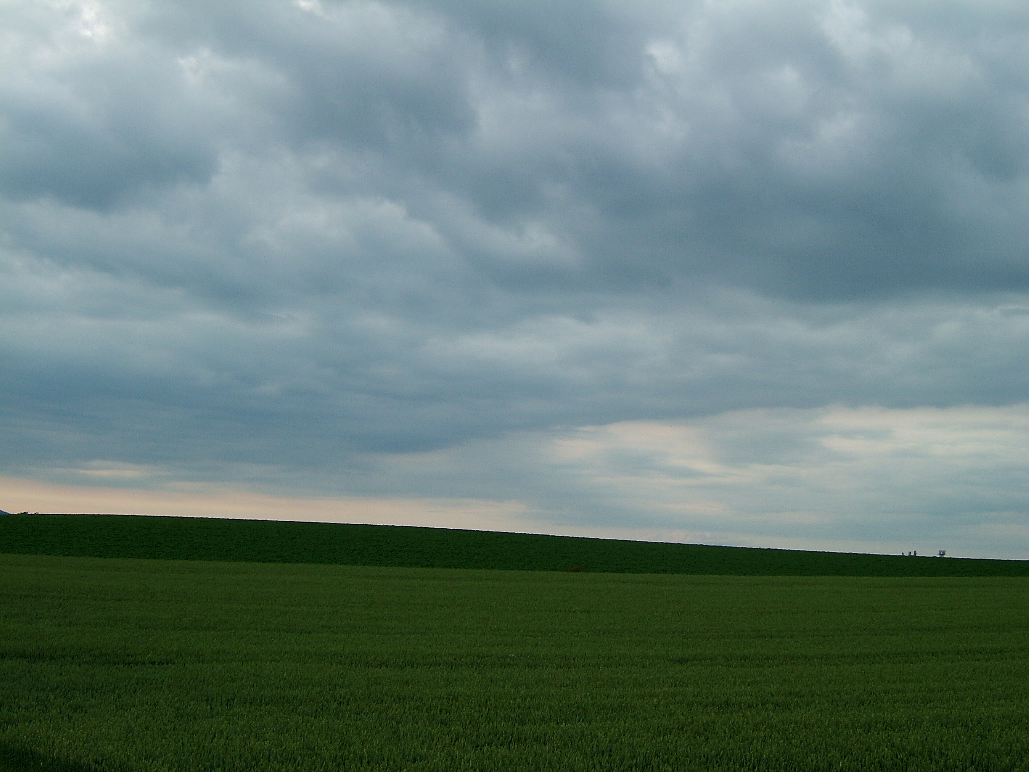 DSCF6112.JPG