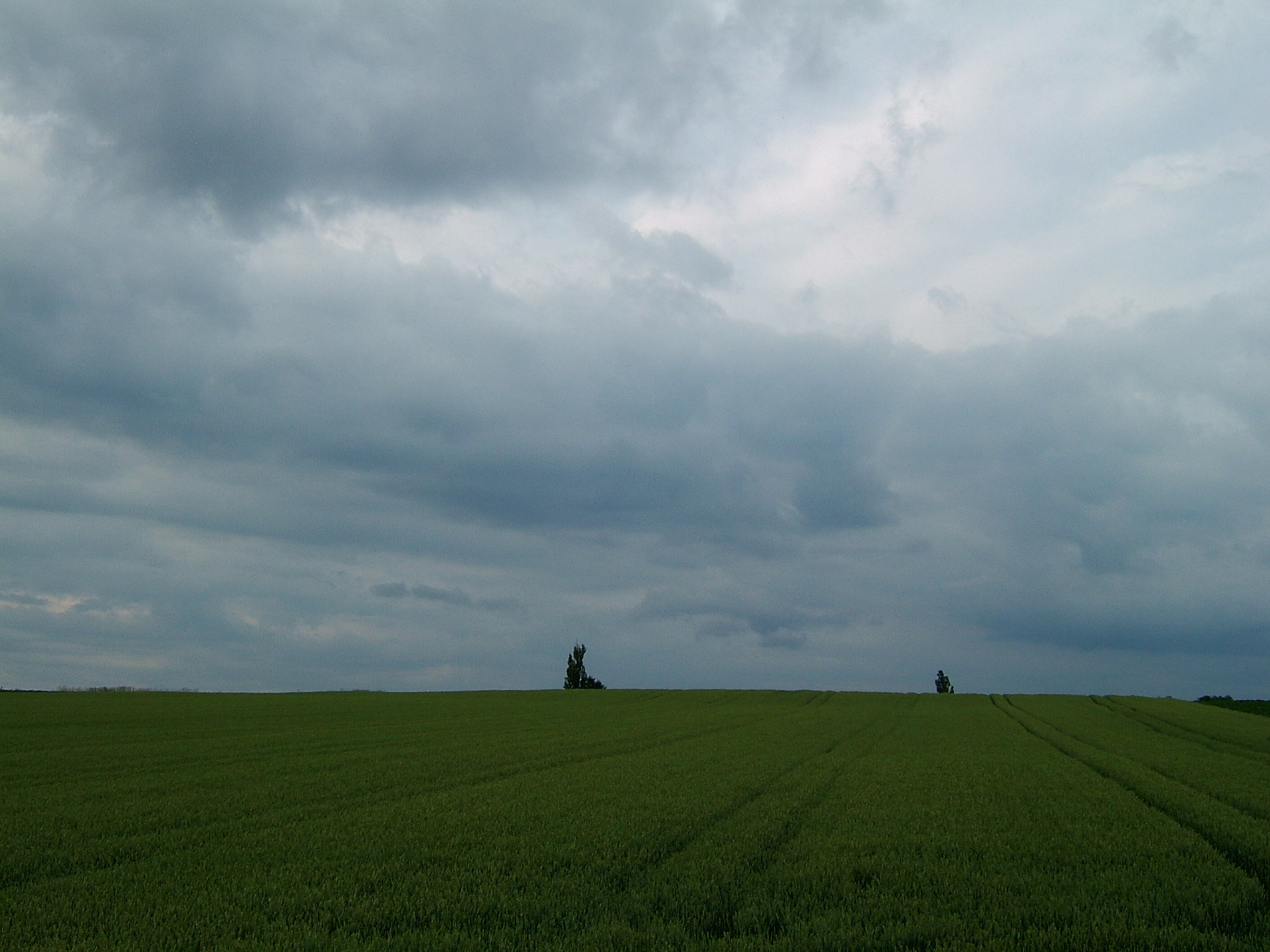 DSCF6115.JPG