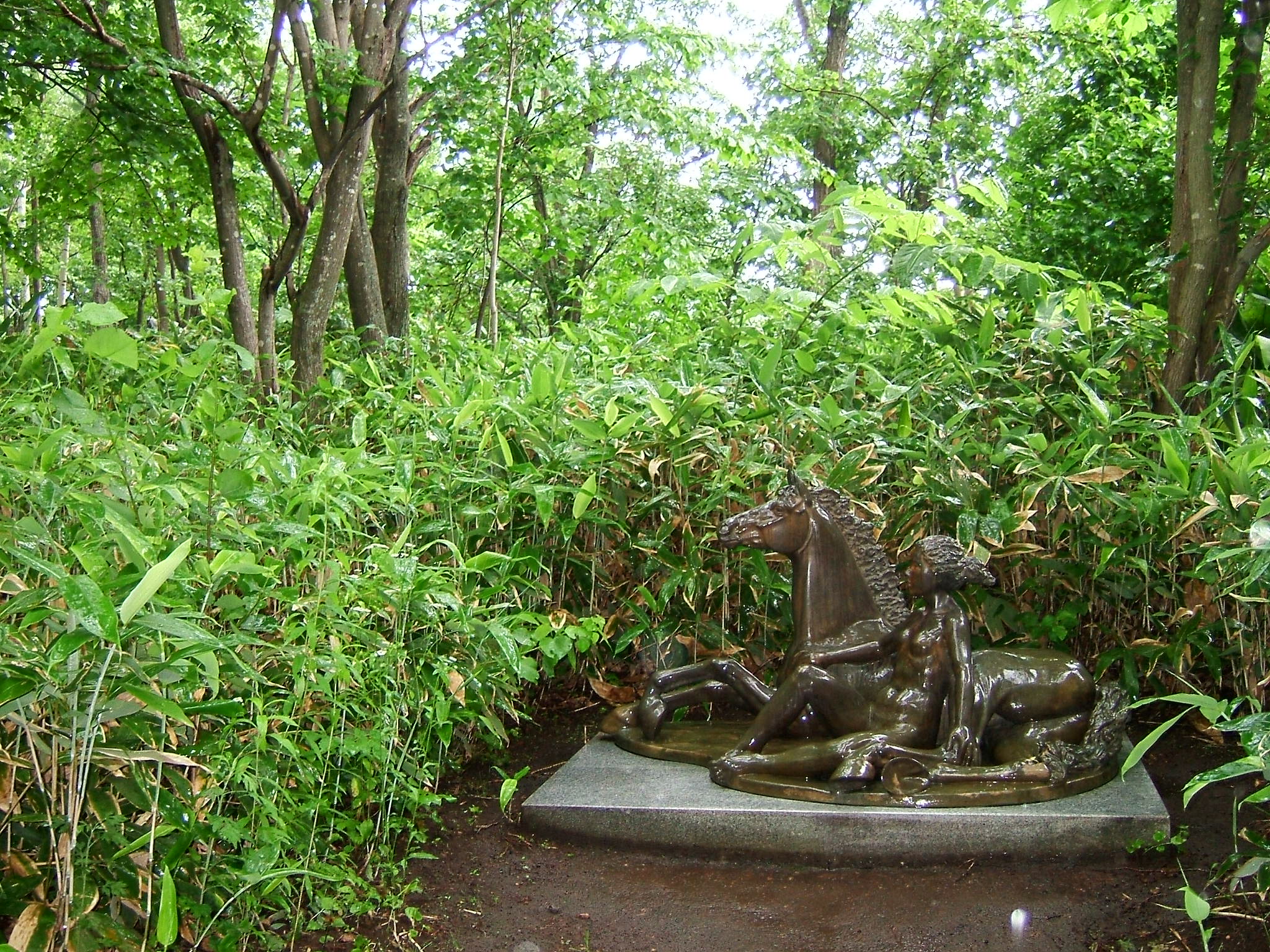 DSCF6232.JPG