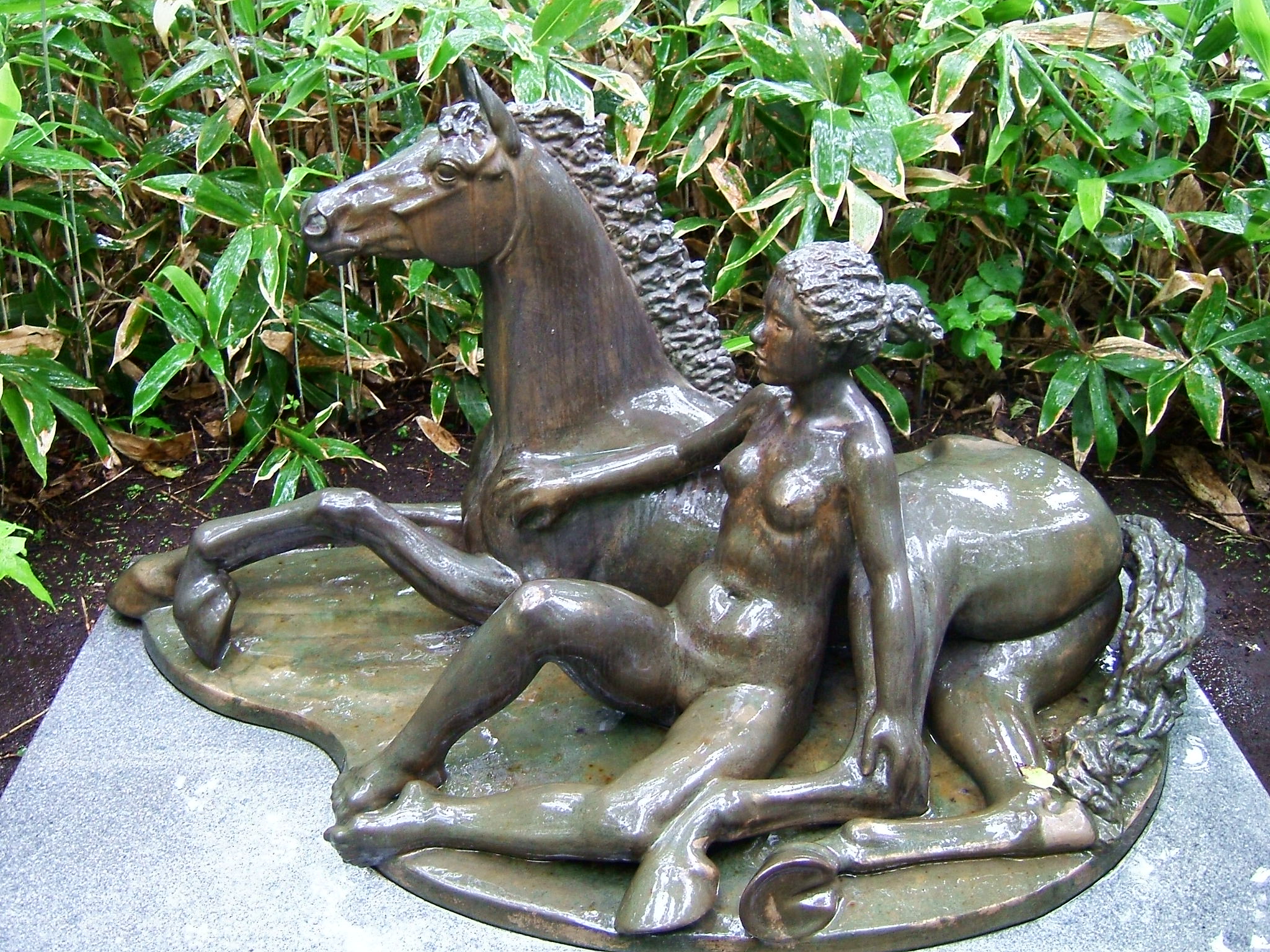 DSCF6234.JPG