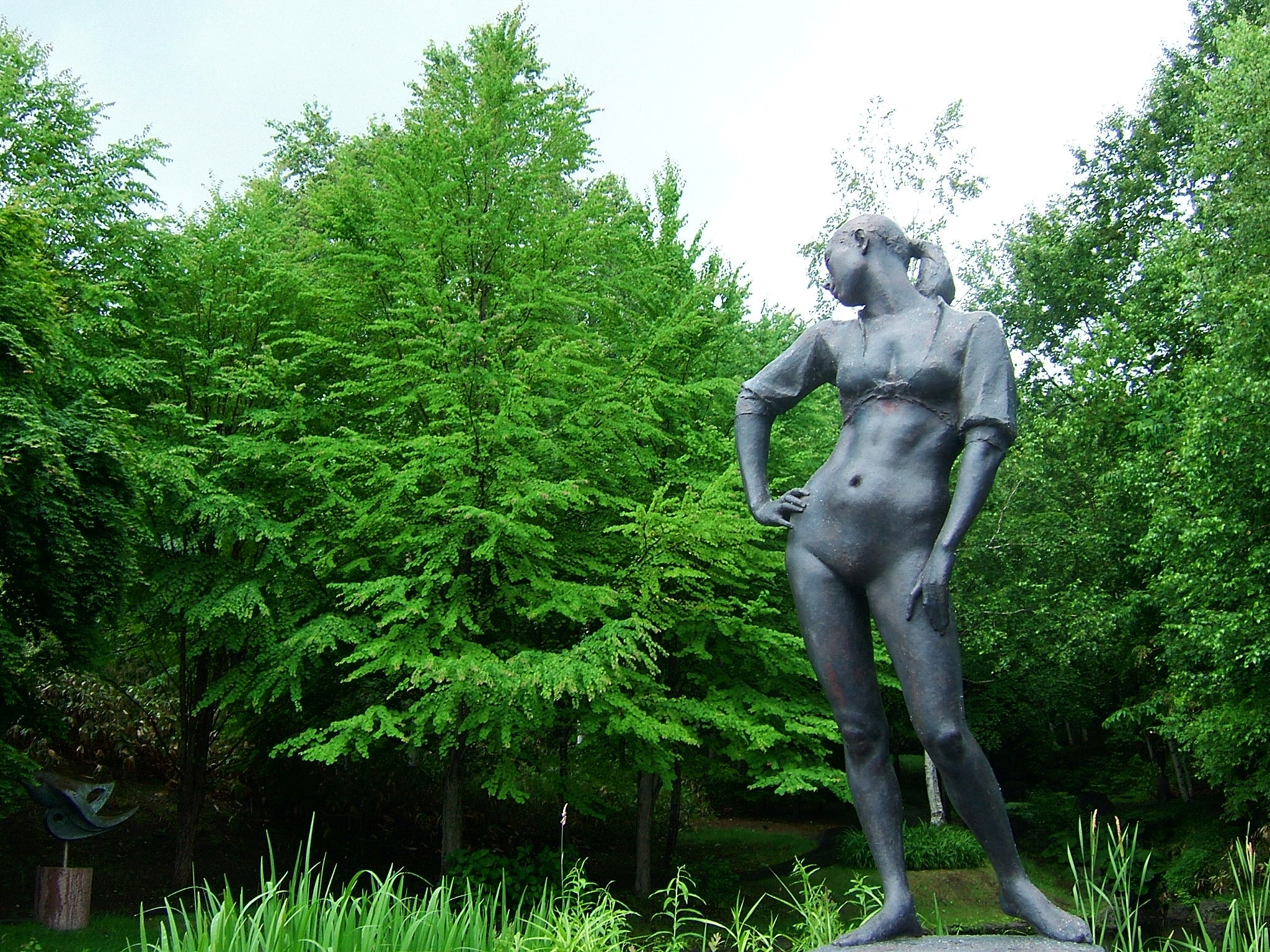 DSCF6240.JPG