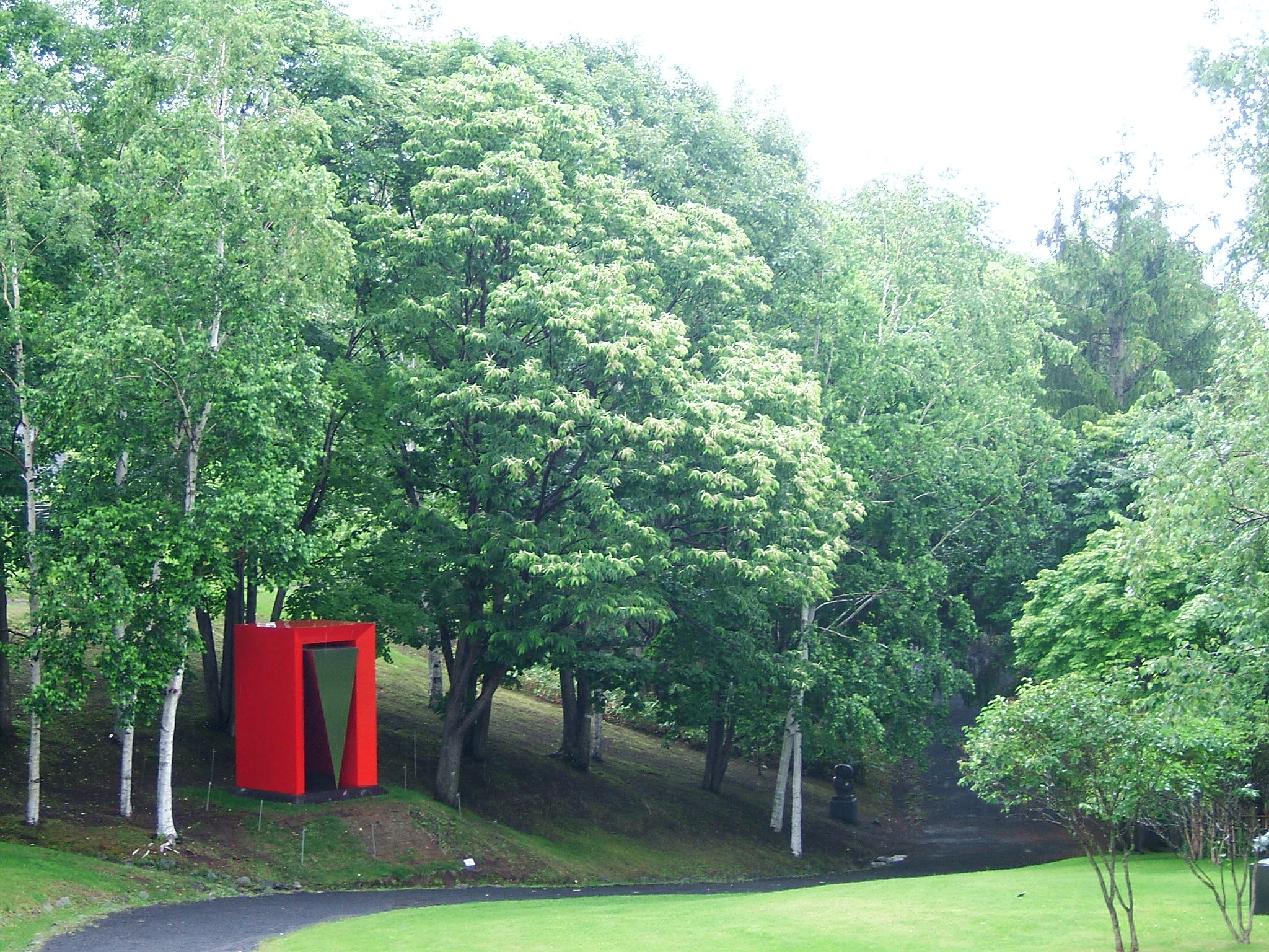 DSCF6244.JPG
