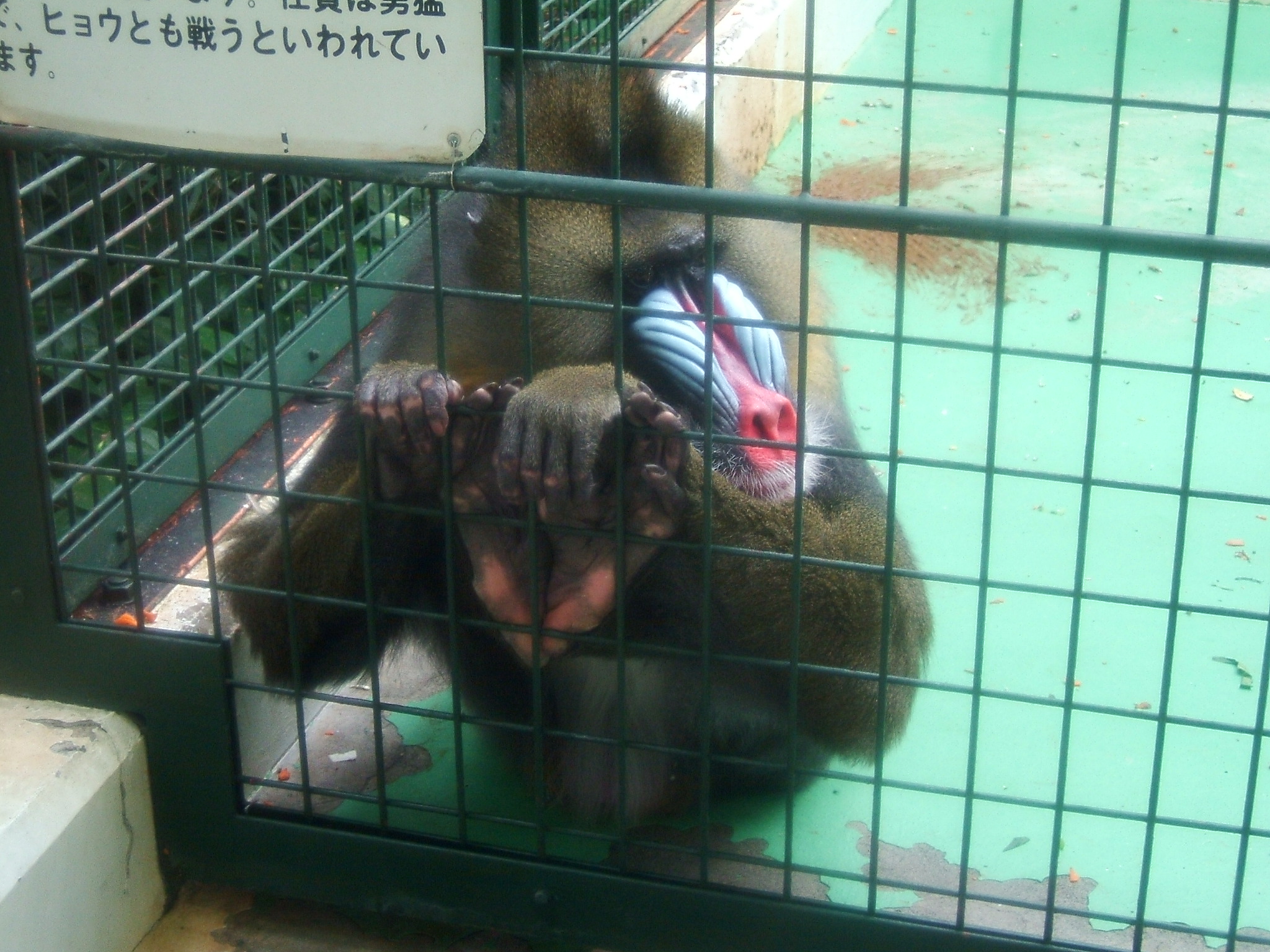 DSCF6809.JPG