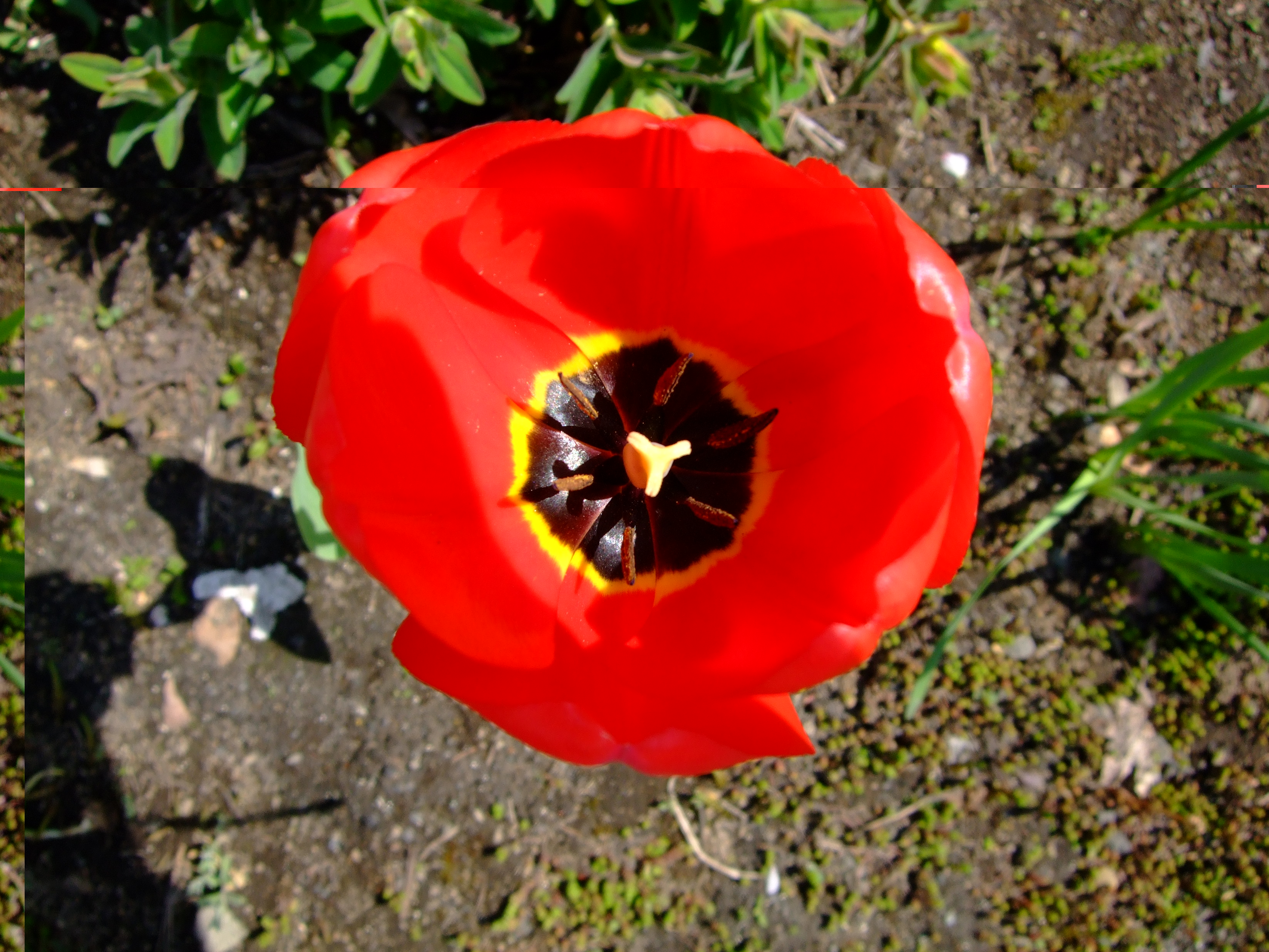 DSCF0911.JPG