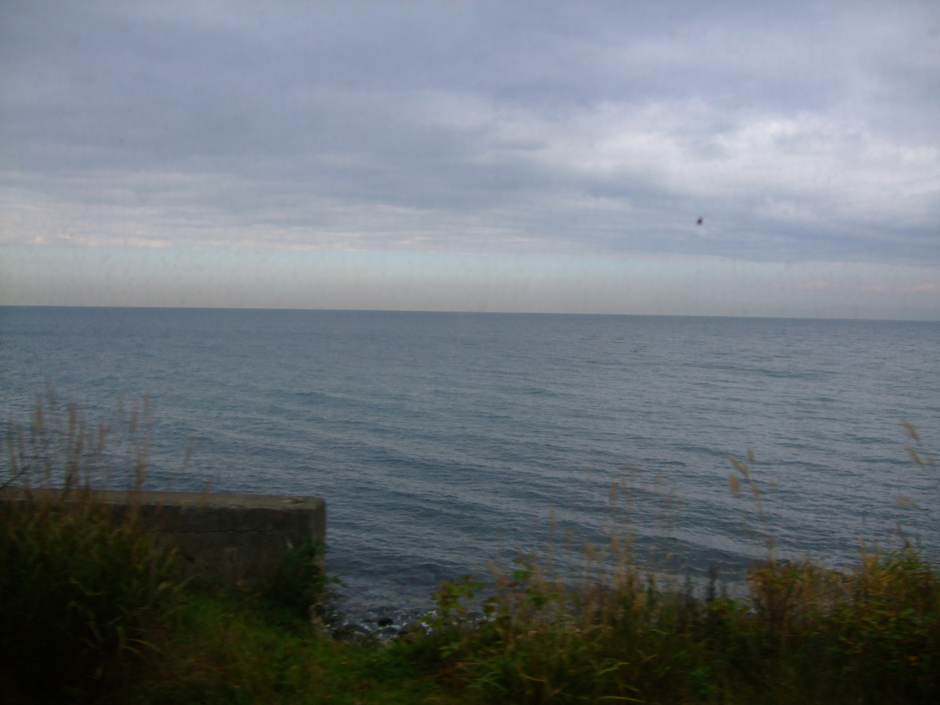 DSCF2442.JPG